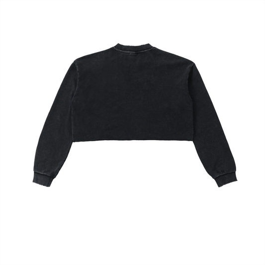 SWIZZLE Gold Snow Washed Raw Edge Cropped Sweatshirt