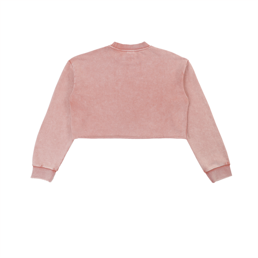 SWIZZLE Gold Snow Washed Raw Edge Cropped Sweatshirt